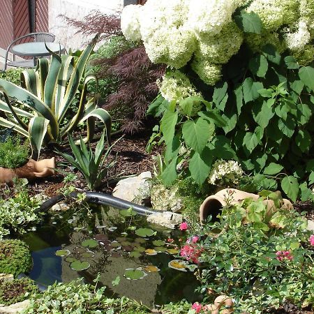 Haus Am Sonnenhang Wasungen Zewnętrze zdjęcie